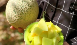 保定娱乐圈吃瓜系统,揭秘幕后风云，吃瓜群众狂欢盛宴